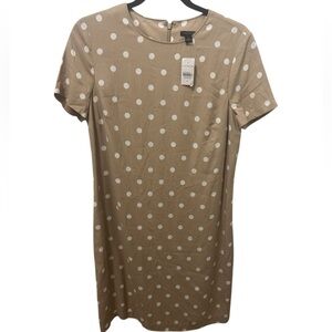 Ann Taylor Polka Dot Short Sleeve Sheath Dress Size 6
